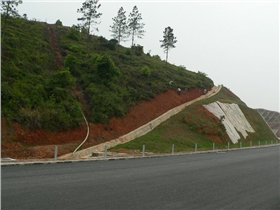 河龍高速邊坡修復