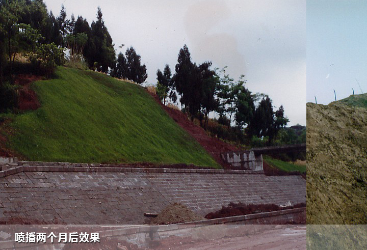 邊坡噴草（達渝高速）