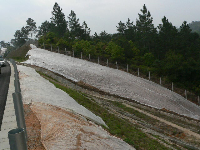 河龍高速邊坡修復