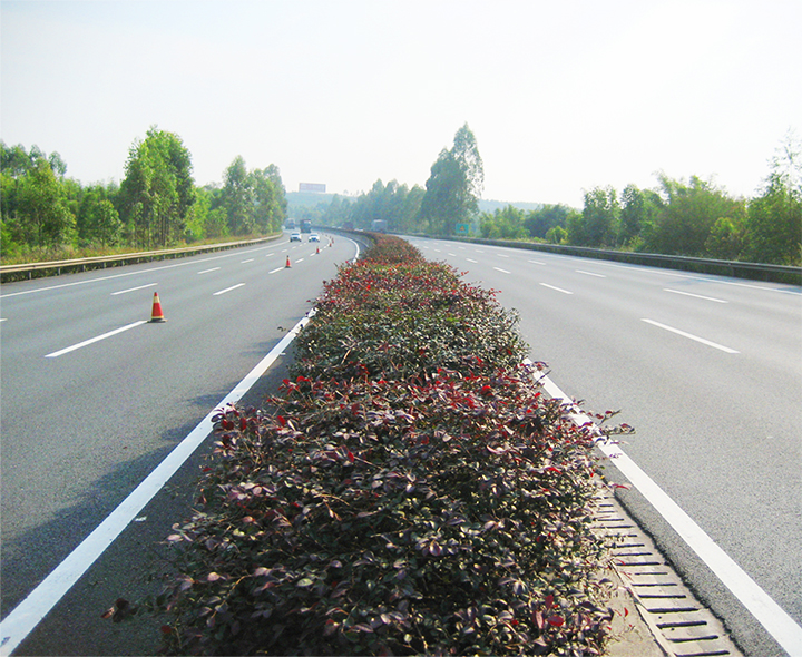 京珠南高速公路綠化工程