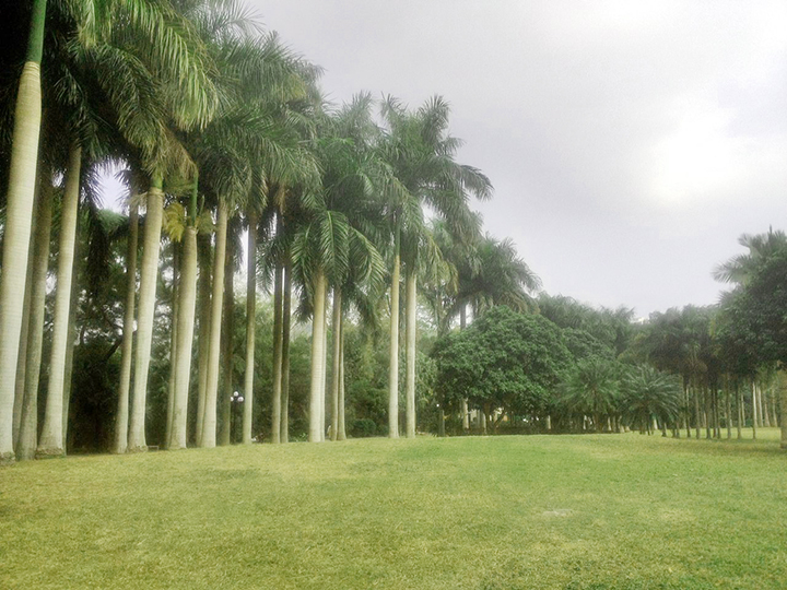 東湖公園綠化養護